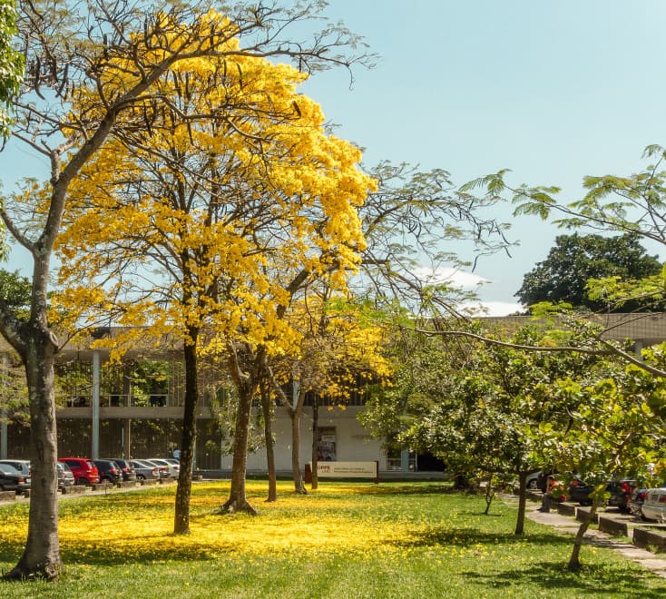 Universidade Federal do Rio de Janeiro